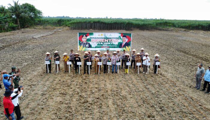 Penanaman Jagung Serentak 1 Juta Hektar: Upaya Bersama Menuju Swasembada Pangan 2025 di Serdang Bedagai