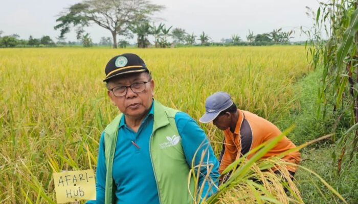 Perjuangan Petani Melawan Perubahan Iklim: Semangat Tak Kenal Menyerah di Tengah Tantangan