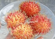 Manfaat Kesehatan dari Air Rebusan Buah Rambutan yang Perlu Kamu Coba