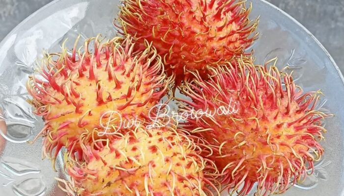 Manfaat Kesehatan dari Air Rebusan Buah Rambutan yang Perlu Kamu Coba