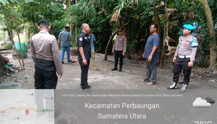 Polres Sergai dan Polsek Perbaungan Respon Cepat Laporan Masyarakat, Tindak Lanjuti Dugaan Judi Sabung Ayam