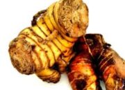 Lengkuas: Dari Rempah Dapur ke Obat Herbal dengan Segudang Khasiat Kesehatan