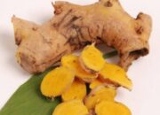 Temugiring: Herbal Alami untuk Tubuh Langsing dan Bebas Cacingan