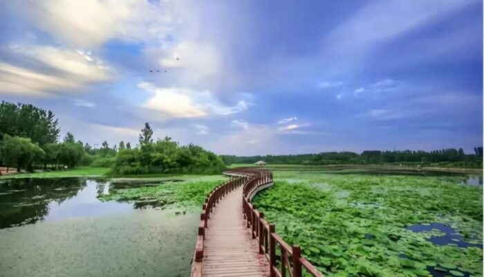 Jelajahi Keindahan Tersembunyi Luozhuang dengan Kereta Wisata “Qilu No.1”