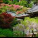 Keindahan Wisteria di Fujiyama Shrine, Sasebo: Pesona Alam yang Mirip Adegan Anime Populer