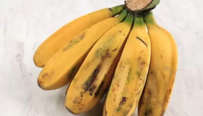 Pisang Kepok: Si Pipih Kaya Manfaat yang Lezat untuk Segala Olahan