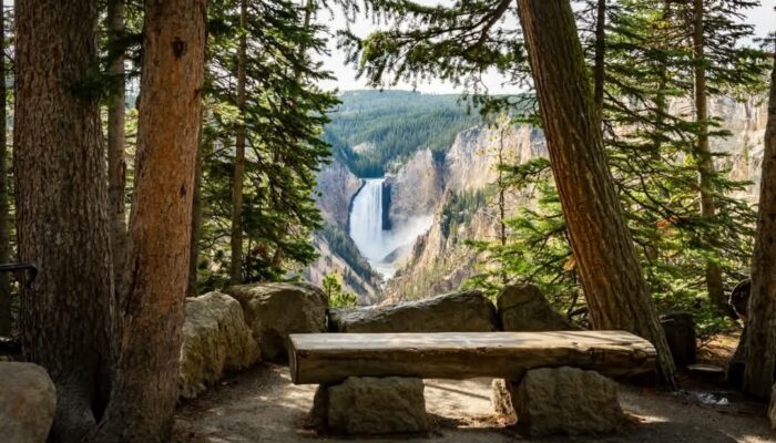 Menginap di Yellowstone National Park: Pilihan Terbanyak, Persaingan Ketat