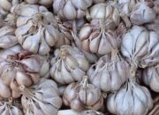 Bawang Putih: Rahasia Alami untuk Menurunkan Kolesterol Jahat
