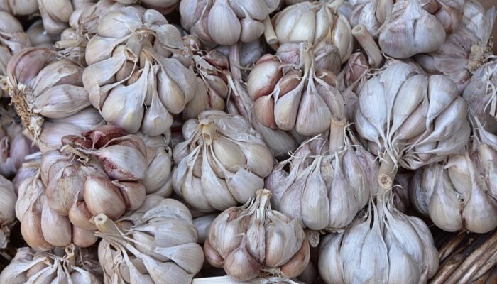 Bawang Putih: Rahasia Alami untuk Menurunkan Kolesterol Jahat