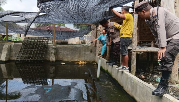 Aksi Pencurian Kepiting Terekam CCTV, Pelaku Dibekuk Polisi di Tanjung Beringin