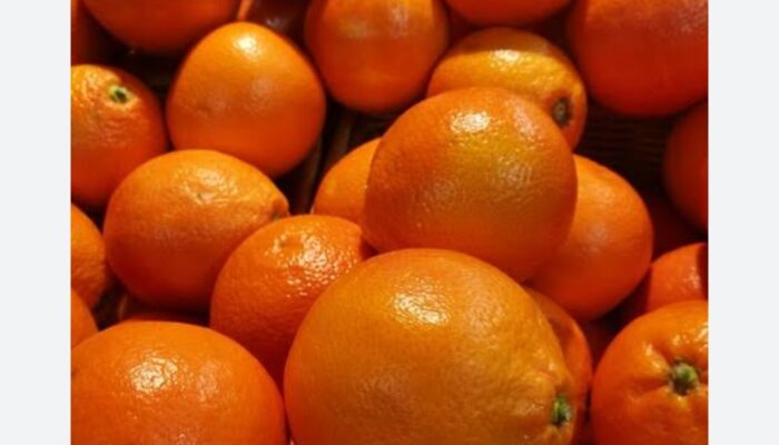 Manfaat Buah Citrus untuk Kesehatan Mata