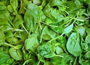 Manfaat Bayam untuk Kehamilan: Nutrisi Penting untuk Ibu dan Janin