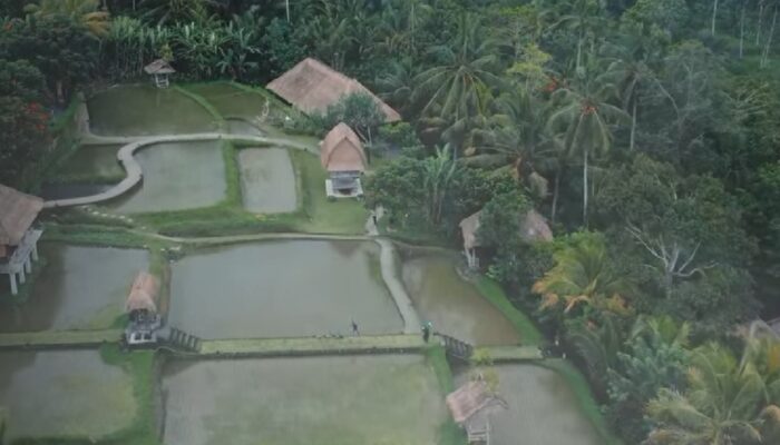Menyusuri Kedamaian di Pelukan Alam Bali