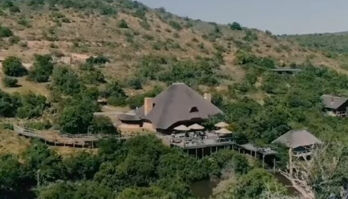 Shamwari Private Game Reserve, Surga Keanekaragaman Hayati di Jantung Eastern Cape