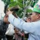Simbol Budaya,H Saipul Amri Pakaikan Tanjak kepada Wakil Bupati Sergai