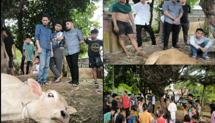 Dipimpin Muaz Hawary, HIPMI Tebing Tinggi Gelar Kurban Idul Adha Dua Hari Berturut, Sembelih 6 Ekor Sapi dan 1 Kambing