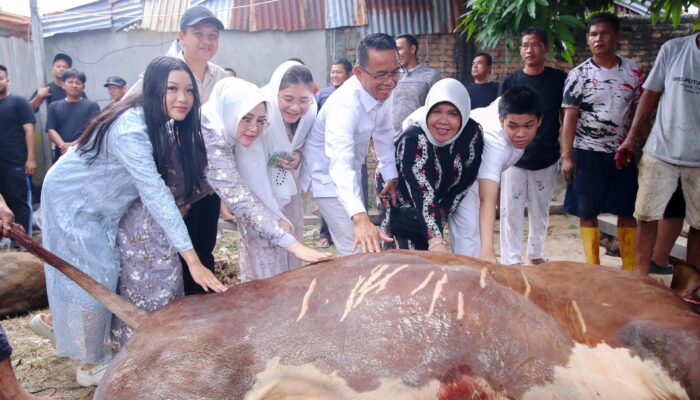 Wakil Walikota Medan Serahkan 4 Hewan Kurban