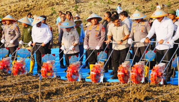 Tanam Jagung Serentak di 36 Wilayah, Kapolri Sigit: Polri Siap Kawal Kedaulatan Pangan!