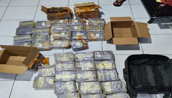 Brimob Polda Sumut dan BNNP Sumut Bongkar Jaringan Narkoba Medan, 36 Kg Sabu Diamankan dalam Operasi Gabungan