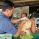 Pemkab Sergai Gencarkan Vaksinasi Hewan: Lindungi Ternak dan Peliharaan dari Rabies, PMK, dan LSD