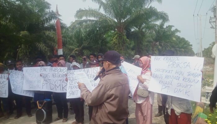 Kelompok Plasma 80 TIR Gelar Aksi Damai, Tuntut Kejelasan Lahan Eks HGU PT DMK