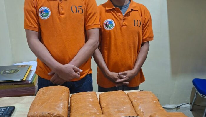 Polres Pelabuhan Belawan Bongkar Jaringan Narkoba, 13 Kg Ganja Disita dan Dua Bandar Dibekuk