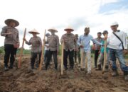 Polres Sergai Bersama PT. Soeloeng Laoet Tanam Jagung 2 Hektar, Dorong Ketahanan Pangan Nasional