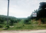 Bantah Klaim 106 Warga, PT PD Paja Pinang Tegaskan Lahan Miliknya Sejak 1962