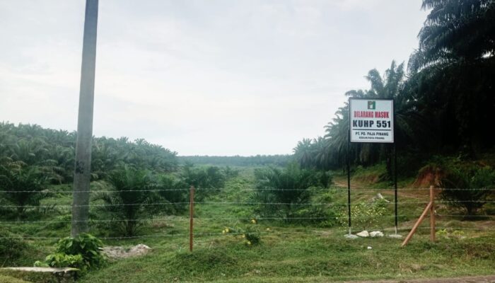 Bantah Klaim 106 Warga, PT PD Paja Pinang Tegaskan Lahan Miliknya Sejak 1962