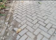 Rp199 Juta untuk Paving Blok di Sergai, Warga Pertanyakan Dugaan Markup Proyek