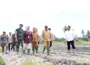 Pemkab Sergai Dorong Optimalisasi Lahan Rawa Lewat Gerakan Olah Lahan Serentak