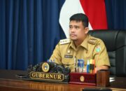Pengamat Nilai Bobby Nasution Bijak Menyikapi Pemangkasan TKD Rp 1,1 T