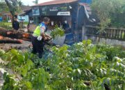 Polres Sergai Sigap Bersihkan Pohon Tumbang di Jalinsum, Masyarakat Beri Apresiasi