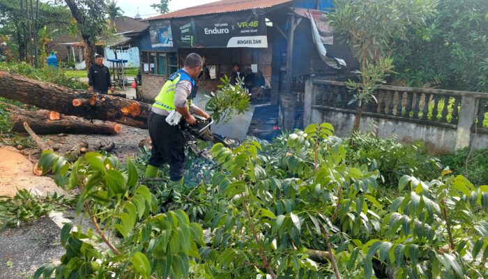 Polres Sergai Sigap Bersihkan Pohon Tumbang di Jalinsum, Masyarakat Beri Apresiasi