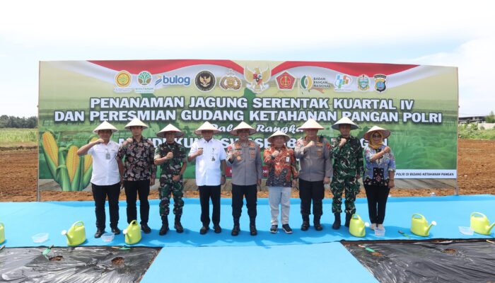 Polda Sumut Gaungkan Semangat Ketahanan Pangan: Tanam Jagung Serentak Dukung Swasembada Nasional
