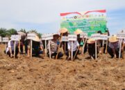 Polres Serdang Bedagai Gelar Penanaman Jagung Serentak Kuartal IV, Dukung Swasembada Pangan Nasional 2025