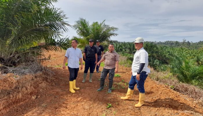 Di Masa Gubernur Bobby Nasution Gaji Karyawan PT PSU Yang Tertunggak Sejak Tahun 2023 Akhirnya Lunas