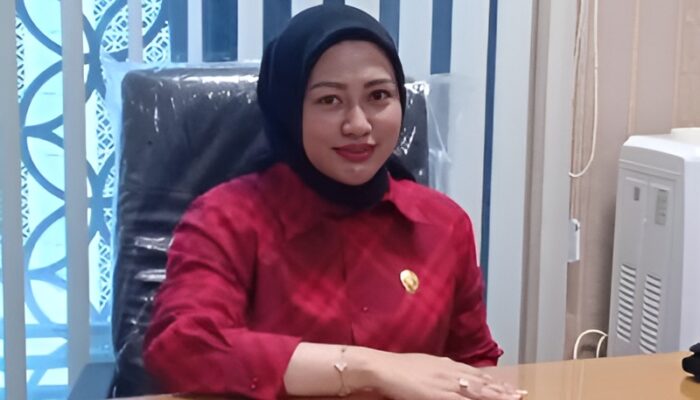 Ketua DPRD Bela Pemprovsu Soal Ucapan Menkeu, Jangan Terburu-buru Tarik Kesimpulan
