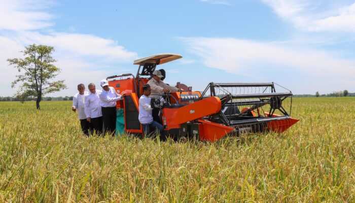Harga Beras Turun Serentak di Semua Level, Dua Bulan Berturut-turut Bawa Deflasi Nasional