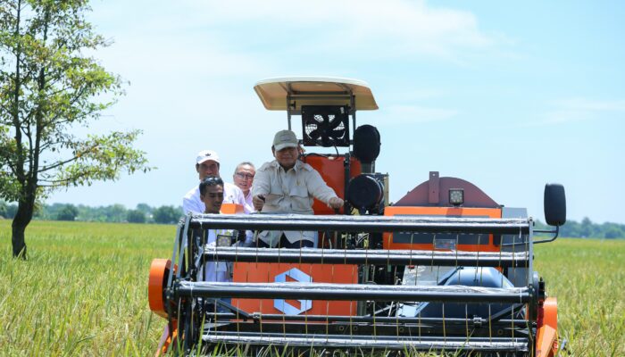 Produksi Beras Nasional 2025 Tembus 34,77 Juta Ton, Indonesia di Ambang Swasembada Pangan