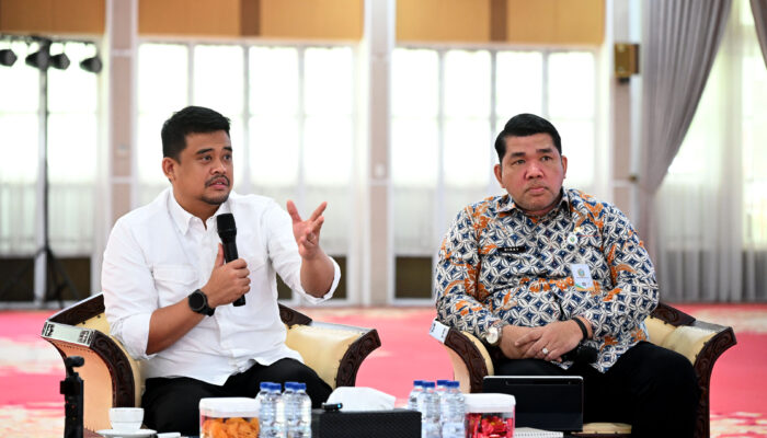 Pemprov Sumut Susun Strategi Pengembangan Kawasan Unggulan Tiga Sektor