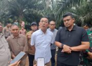Gubernur Sumut Ubah Lahan Sawit Jadi Hunian Tetap Korban Bencana
