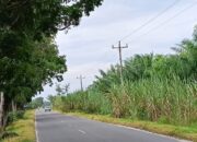 Bayar PPJ Tiap Bulan, Warga Teluk Mengkudu Justru Melintas di Jalan Gelap Gulita