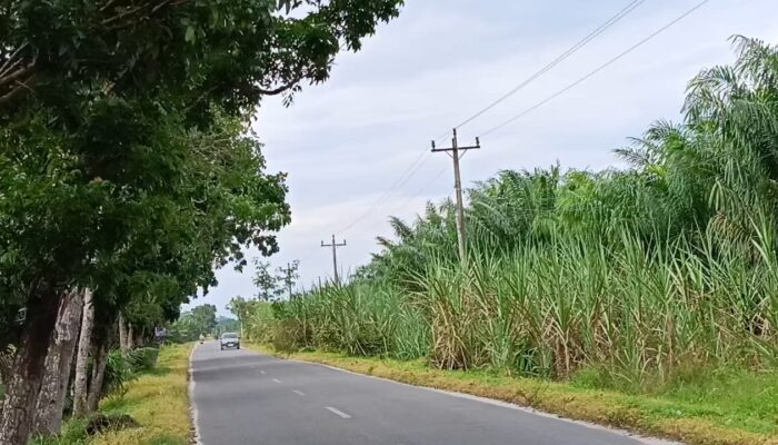 Bayar PPJ Tiap Bulan, Warga Teluk Mengkudu Justru Melintas di Jalan Gelap Gulita