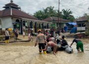 Banjir Terjang Tapsel, Polri Geser Fokus Operasi: Polsatwa K-9 Turun Langsung Evakuasi Warga