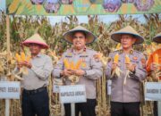 Polri dan Pemkab Sergai Panen Jagung Serentak 2026, Perkuat Ketahanan Pangan Daerah
