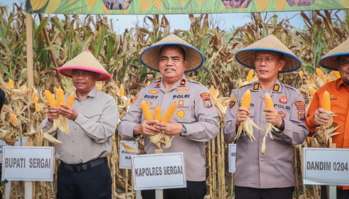 Polri dan Pemkab Sergai Panen Jagung Serentak 2026, Perkuat Ketahanan Pangan Daerah