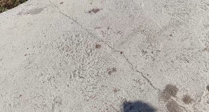 Baru Dua Bulan Rampung, Jalan Lingkungan di Teluk Mengkudu Sudah Retak Parah