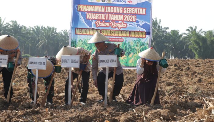 Polres Sergai Tanam Jagung Serentak  Seluas 2 Hektar, Dukung Program Swasembada 2026