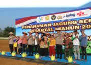 Polda Sumut Tanam Jagung Serentak Kuartal I 2026, Perkuat Ketahanan Pangan Nasional